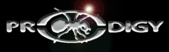 Logo Prodigy
